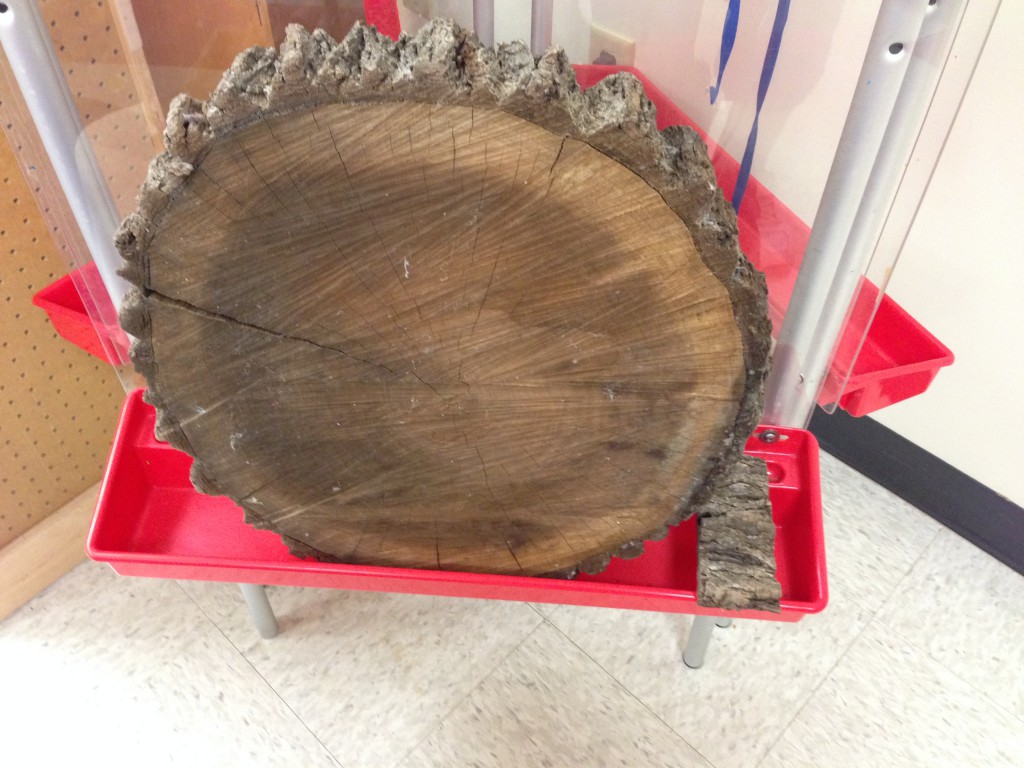 Chavez Learning Station