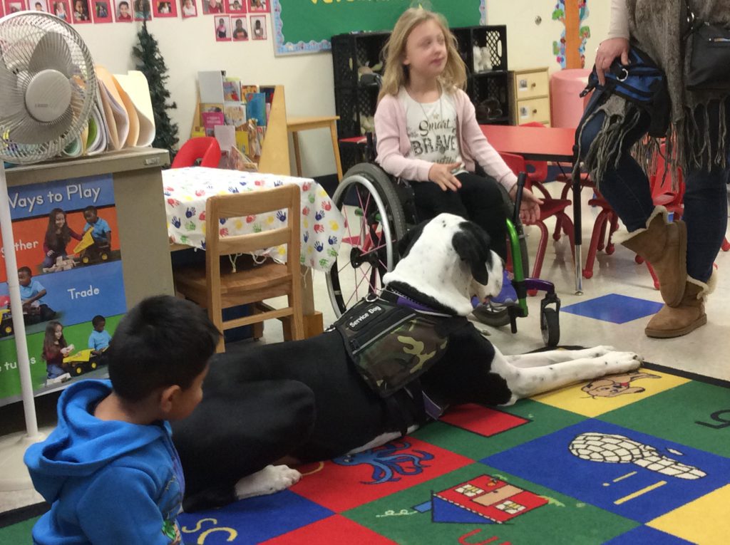 Chavez Learning Station