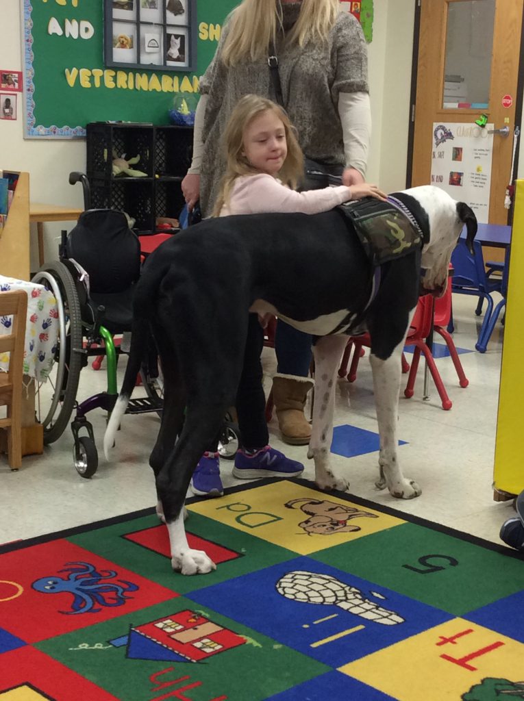 Chavez Learning Station
