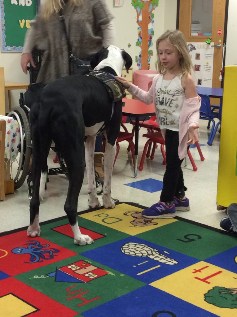 Chavez Learning Station