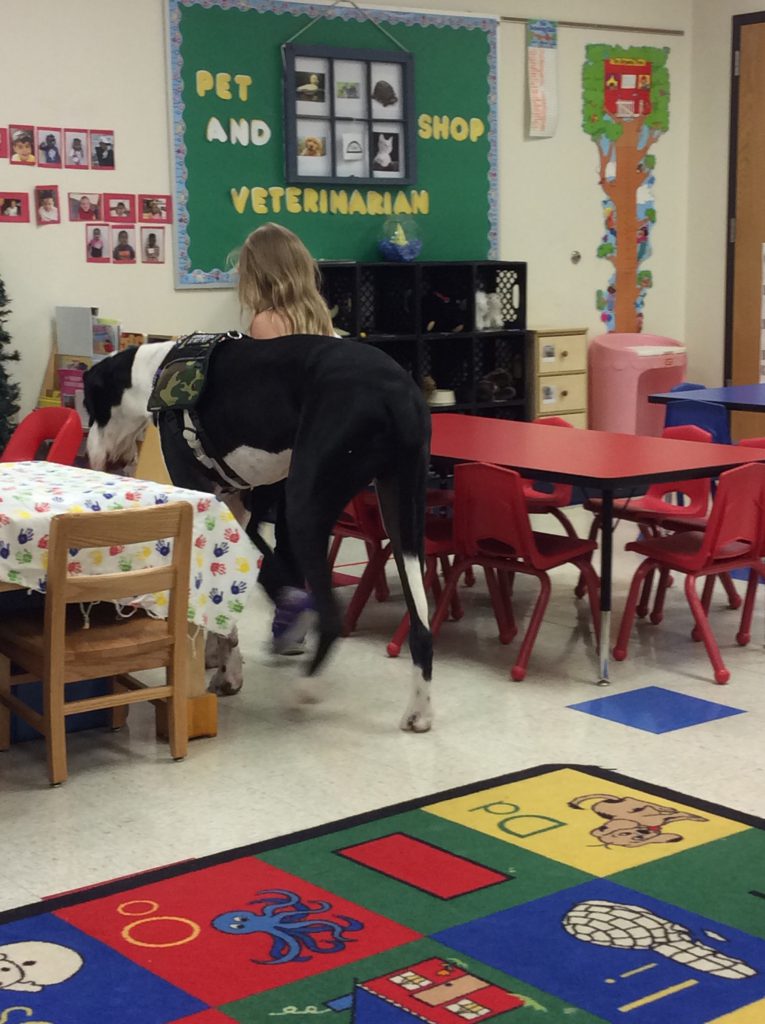 Chavez Learning Station