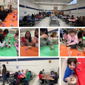 Forest Park 4th Graders Explore Sedimentary Rocks and Fossils