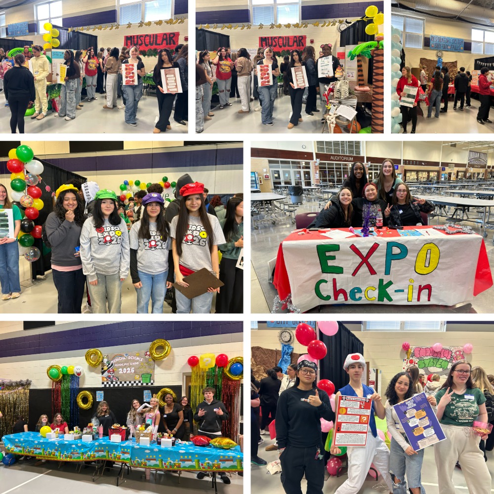 Medical Sciences Human Body Showcase