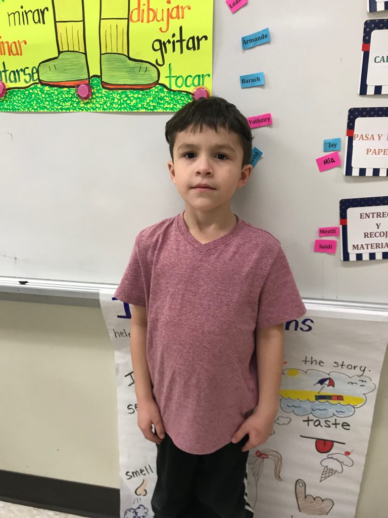 Kenosha School of Language