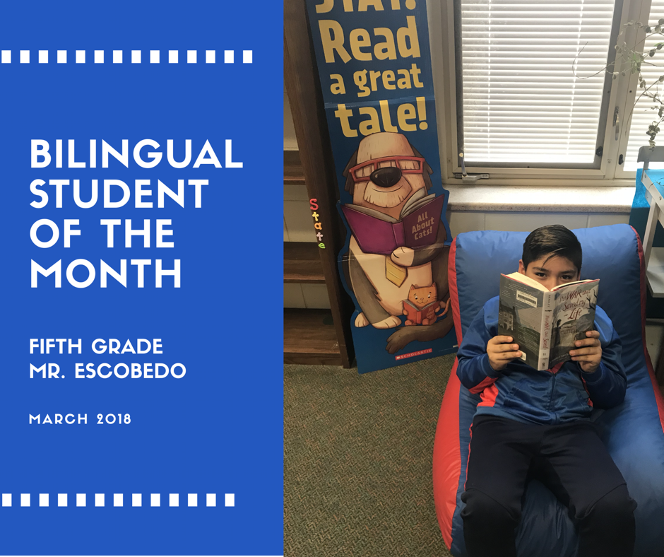 Kenosha School of Language