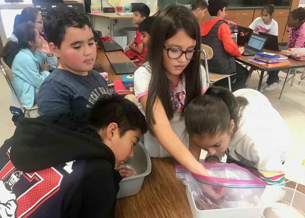 Kenosha School of Language
