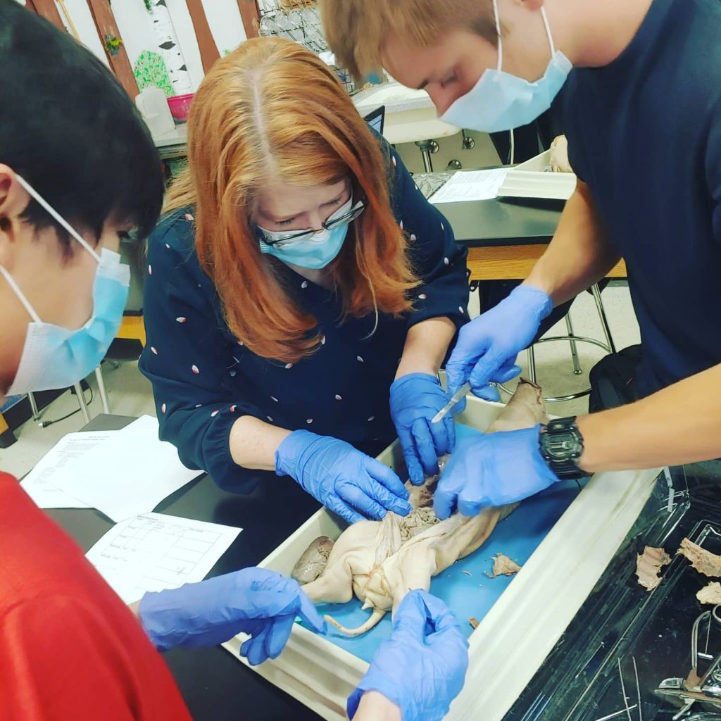 LakeView Technology Academy