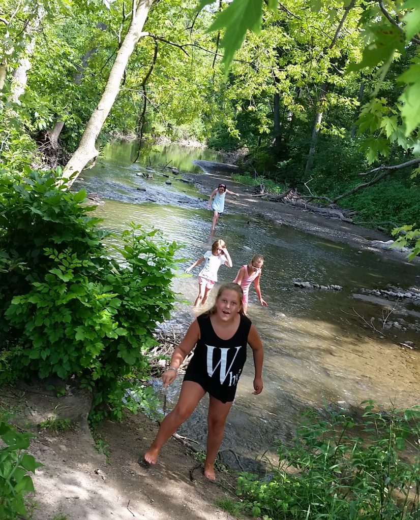 LakeView K-8 Academy