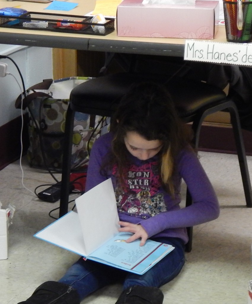 LakeView K-8 Academy