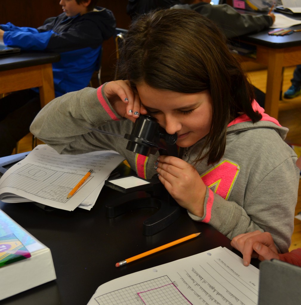 LakeView K-8 Academy