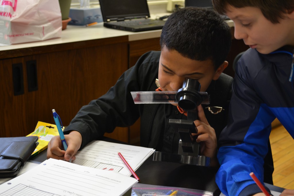 LakeView K-8 Academy