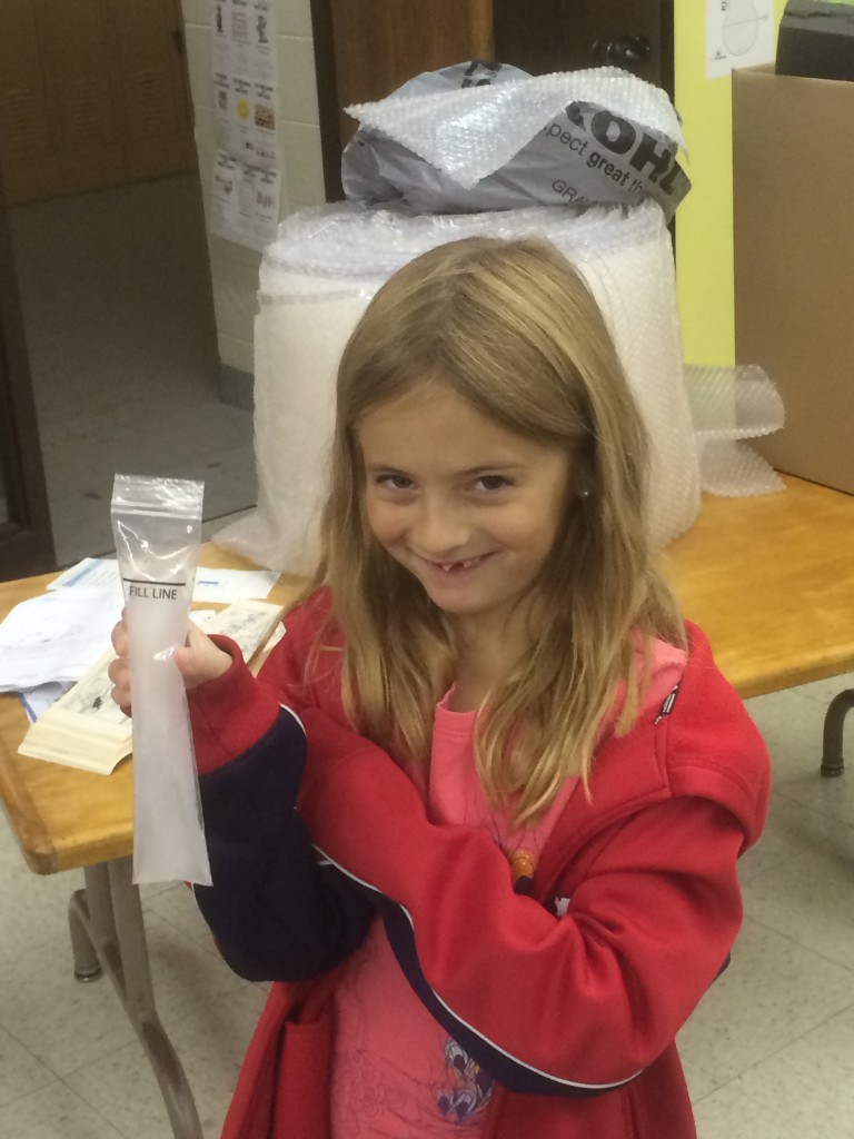 LakeView K-8 Academy