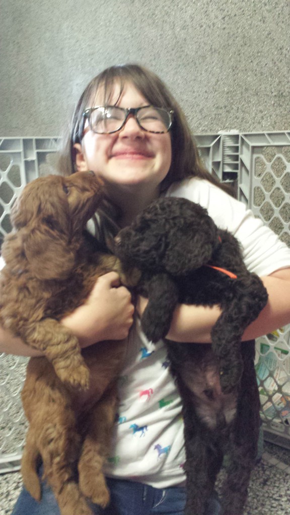 LakeView K-8 Academy