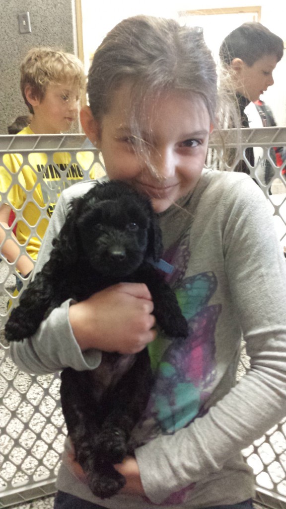 LakeView K-8 Academy