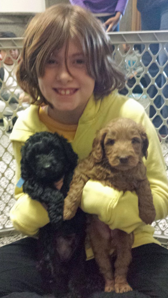 LakeView K-8 Academy