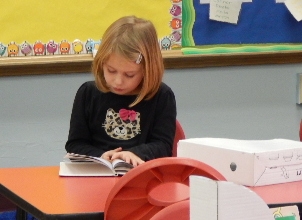 LakeView K-8 Academy