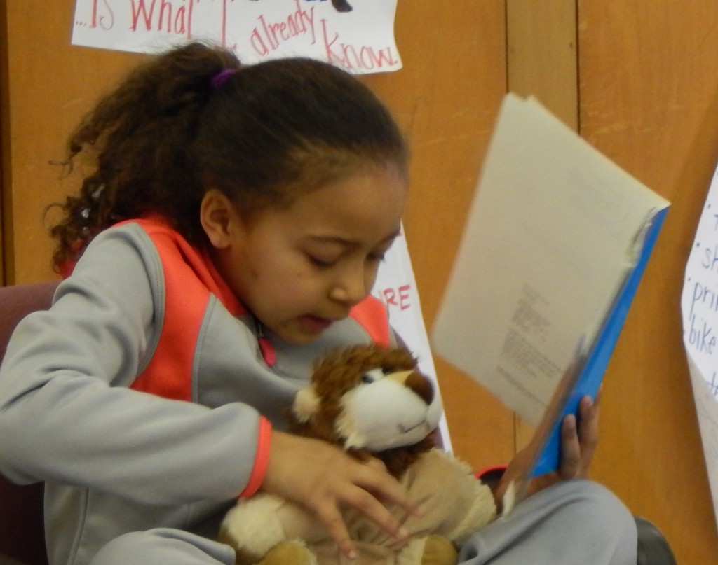 LakeView K-8 Academy