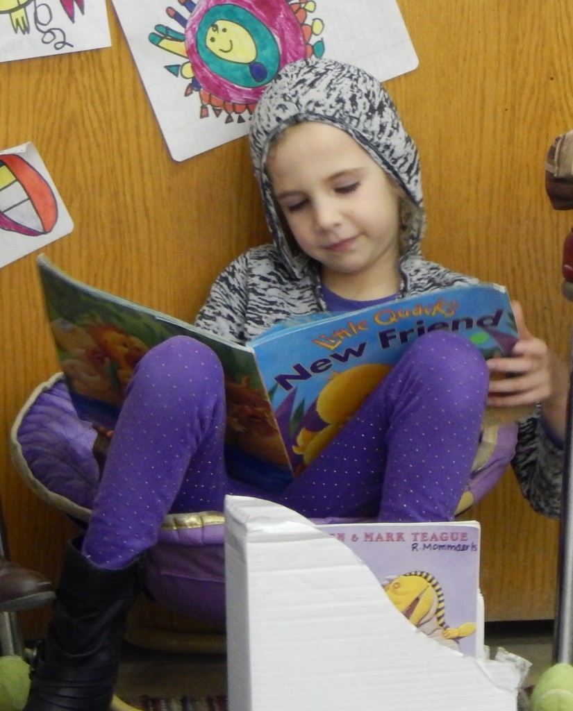 LakeView K-8 Academy