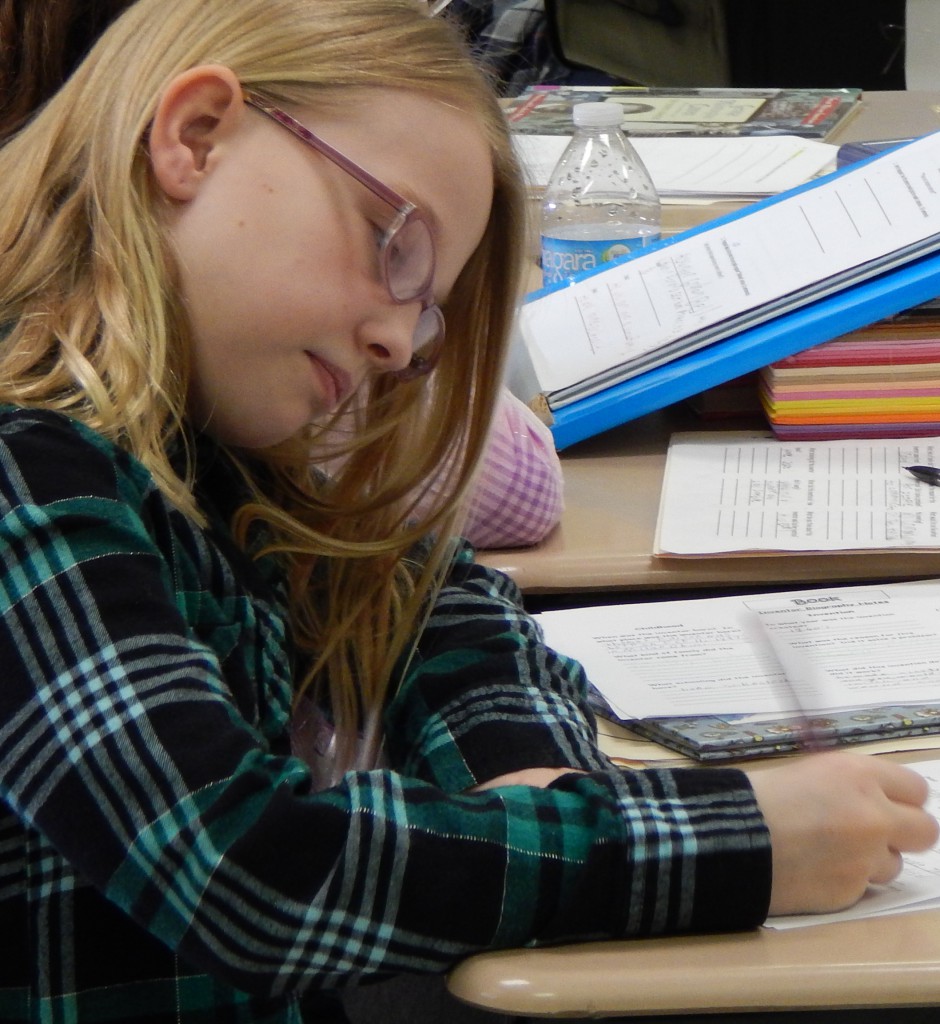 LakeView K-8 Academy