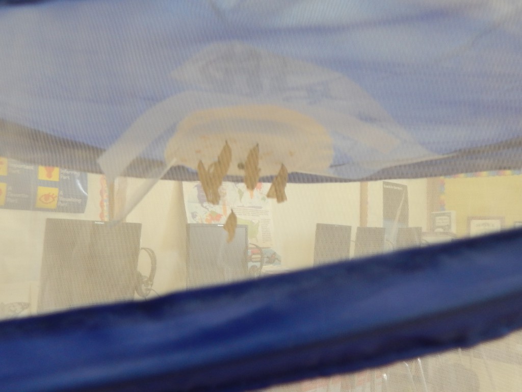 LakeView K-8 Academy