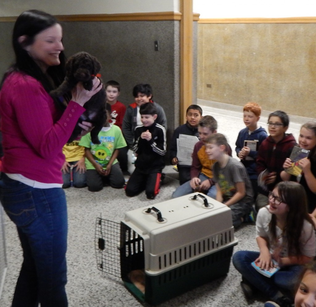 LakeView K-8 Academy