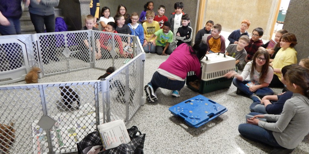 LakeView K-8 Academy