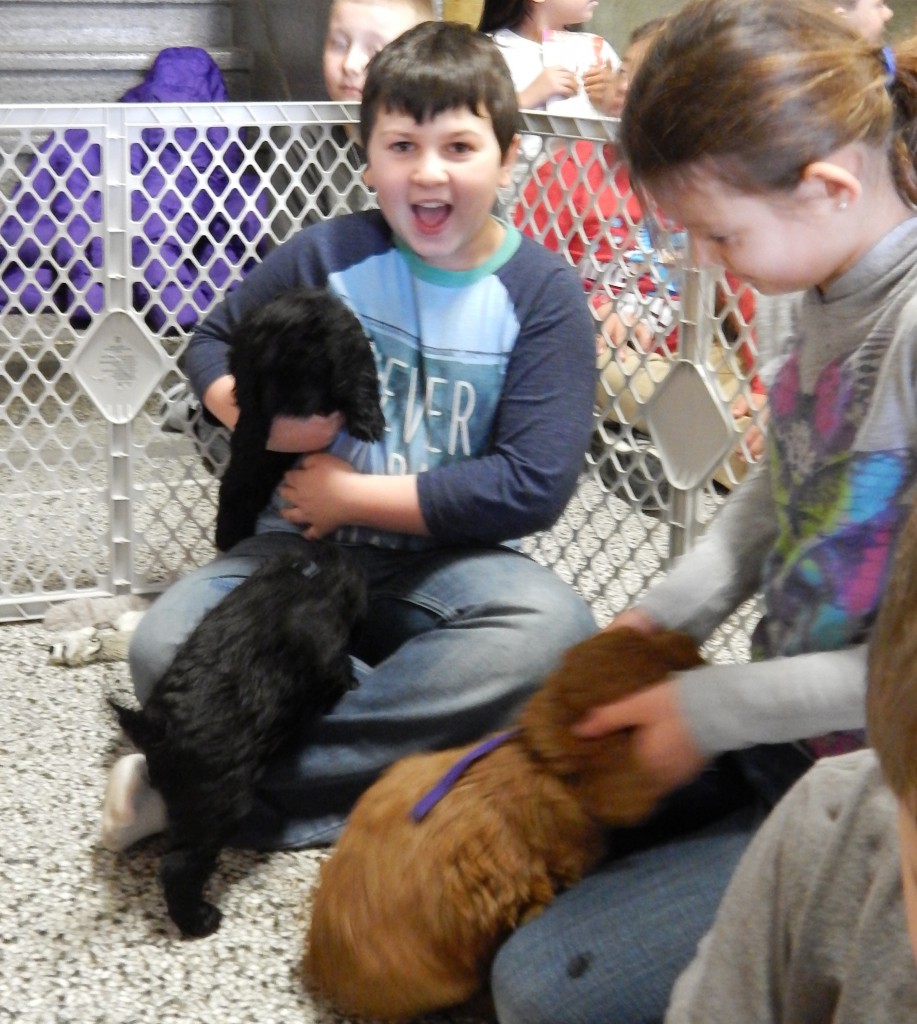 LakeView K-8 Academy