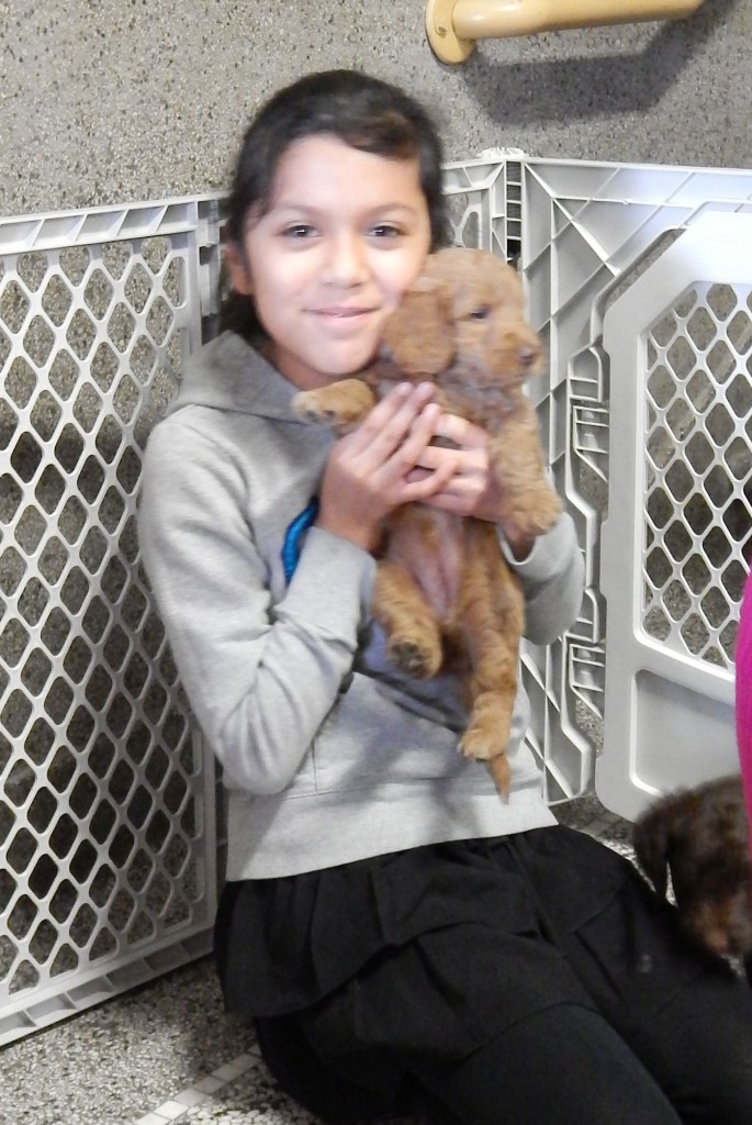 LakeView K-8 Academy