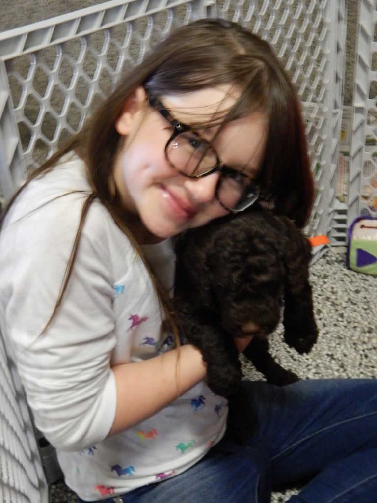 LakeView K-8 Academy