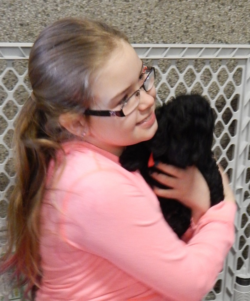 LakeView K-8 Academy