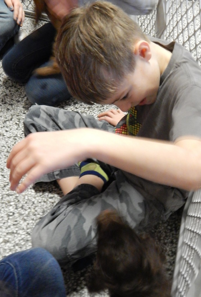 LakeView K-8 Academy