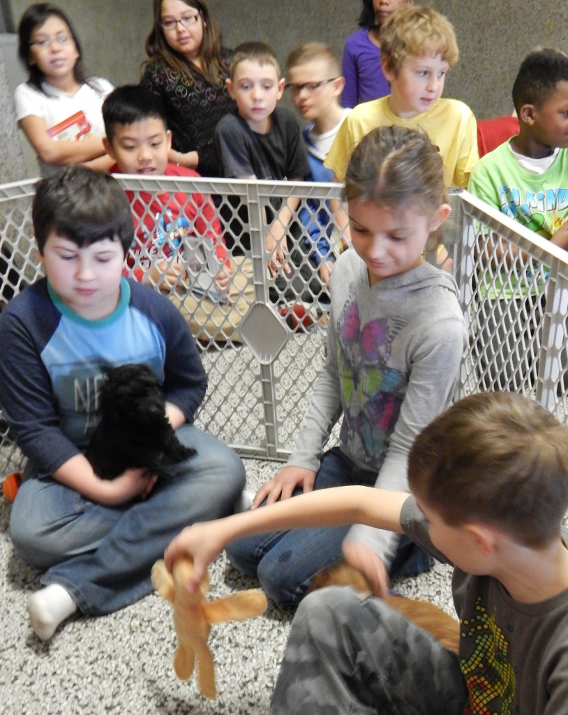 LakeView K-8 Academy