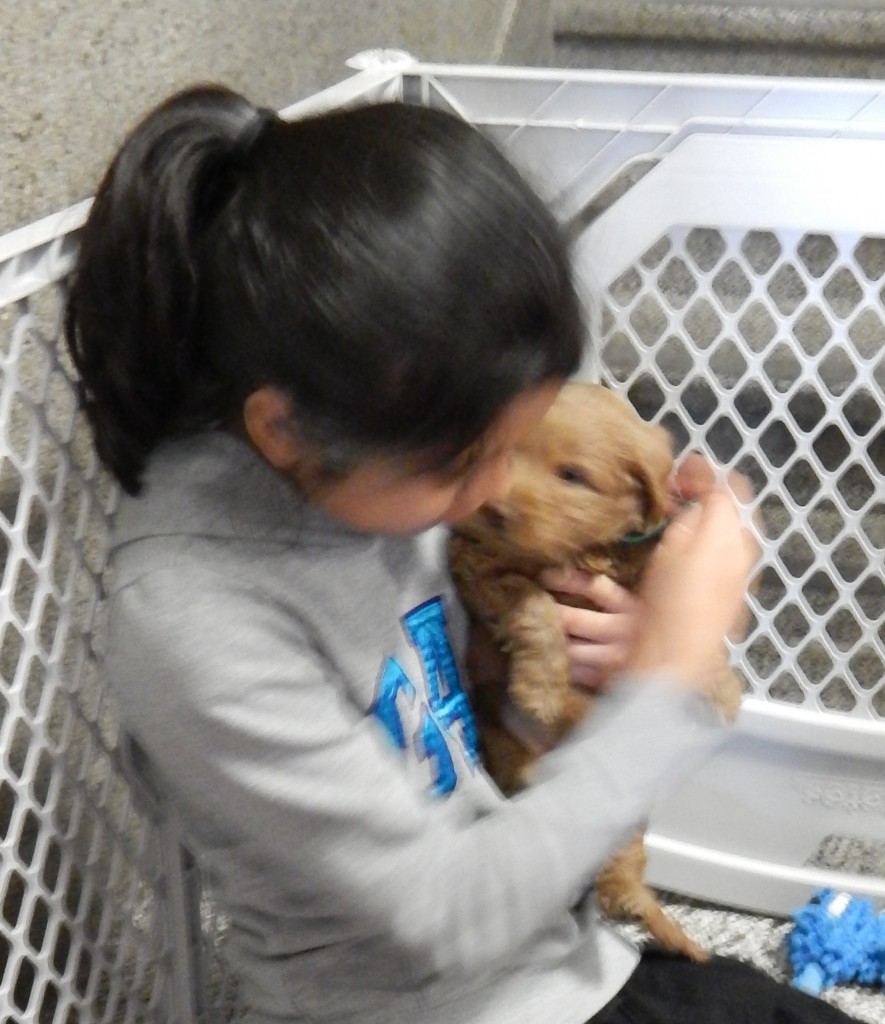 LakeView K-8 Academy