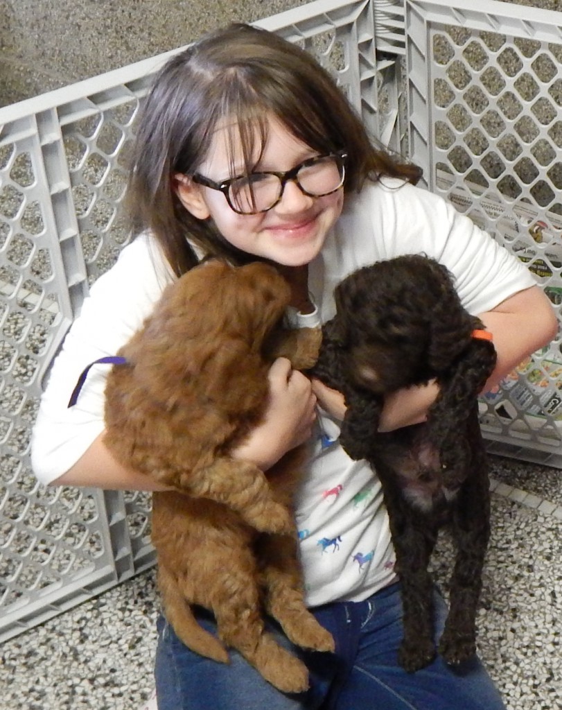 LakeView K-8 Academy