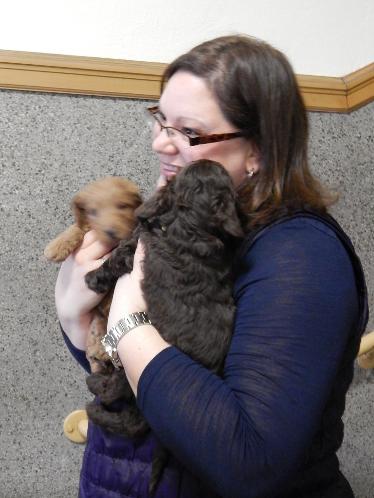 LakeView K-8 Academy