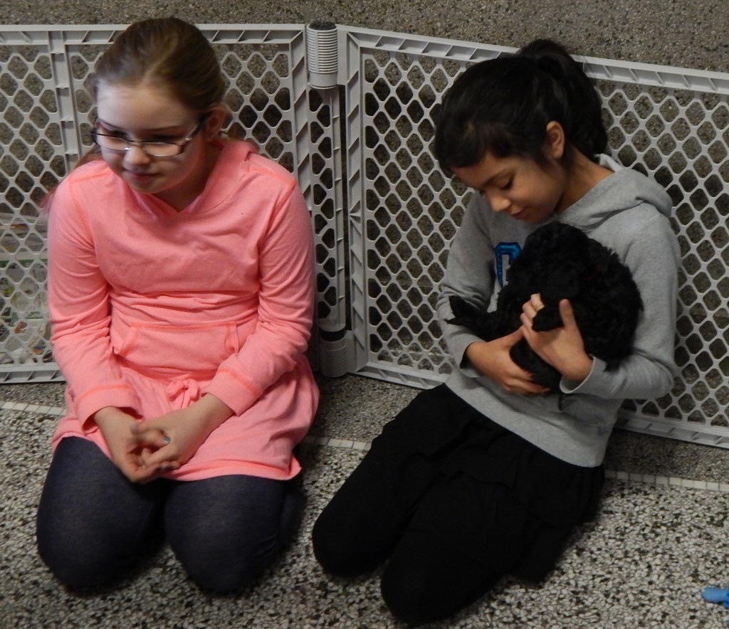 LakeView K-8 Academy