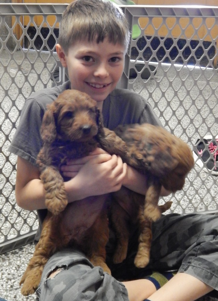 LakeView K-8 Academy