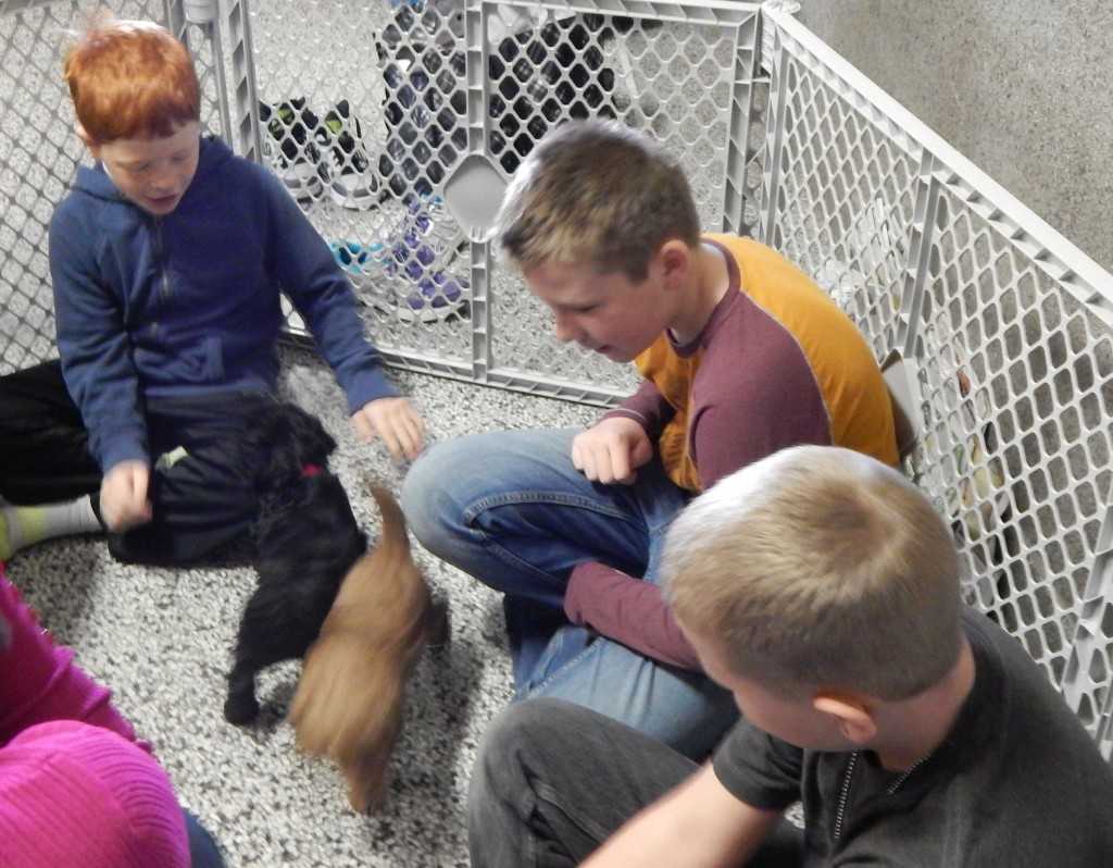 LakeView K-8 Academy