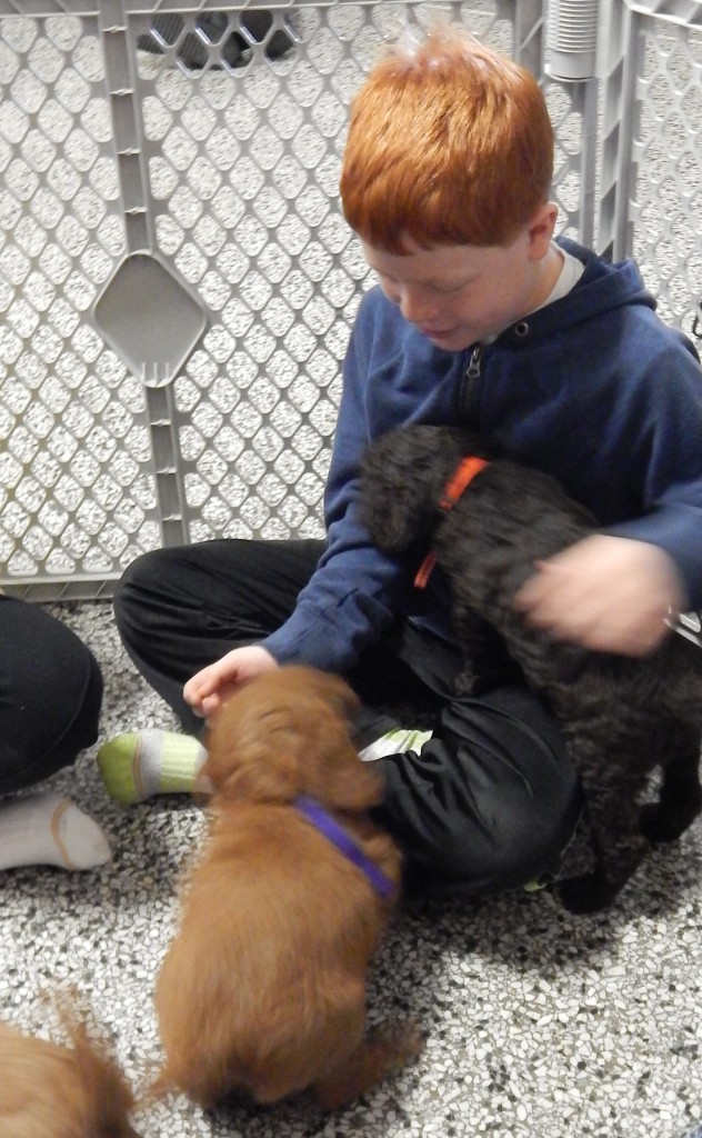 LakeView K-8 Academy