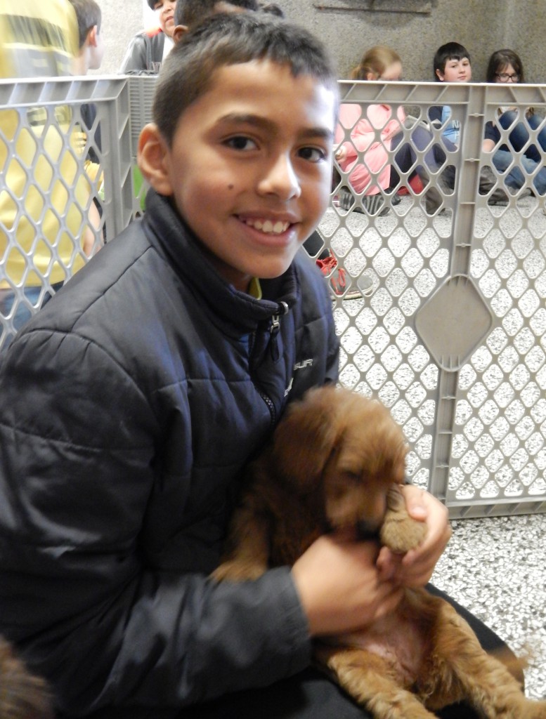 LakeView K-8 Academy