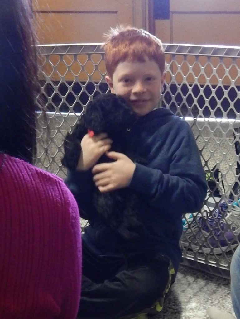 LakeView K-8 Academy