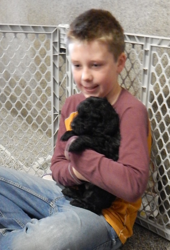 LakeView K-8 Academy