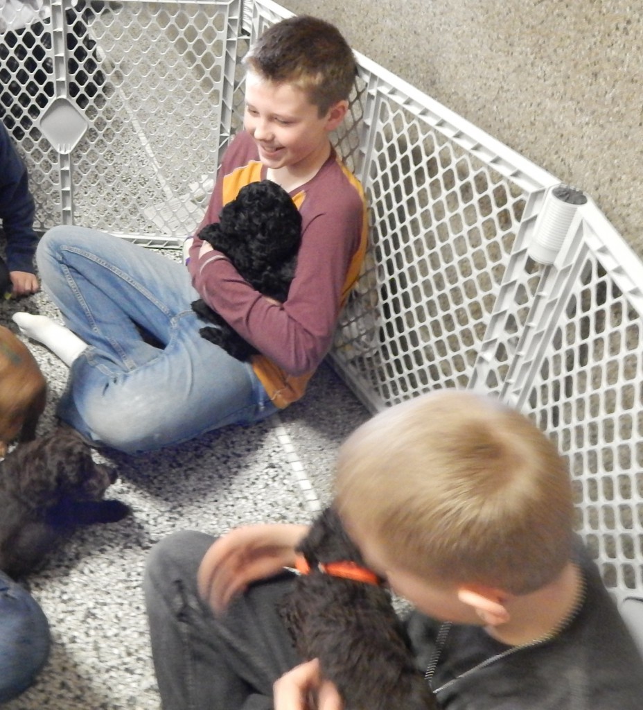 LakeView K-8 Academy