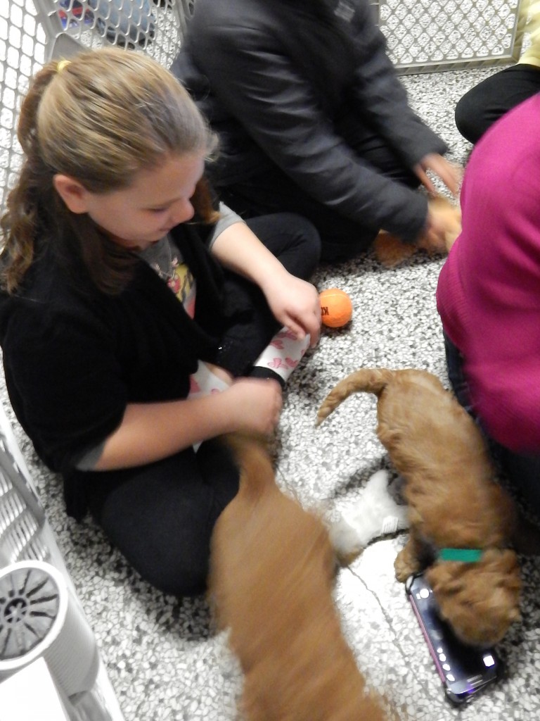 LakeView K-8 Academy