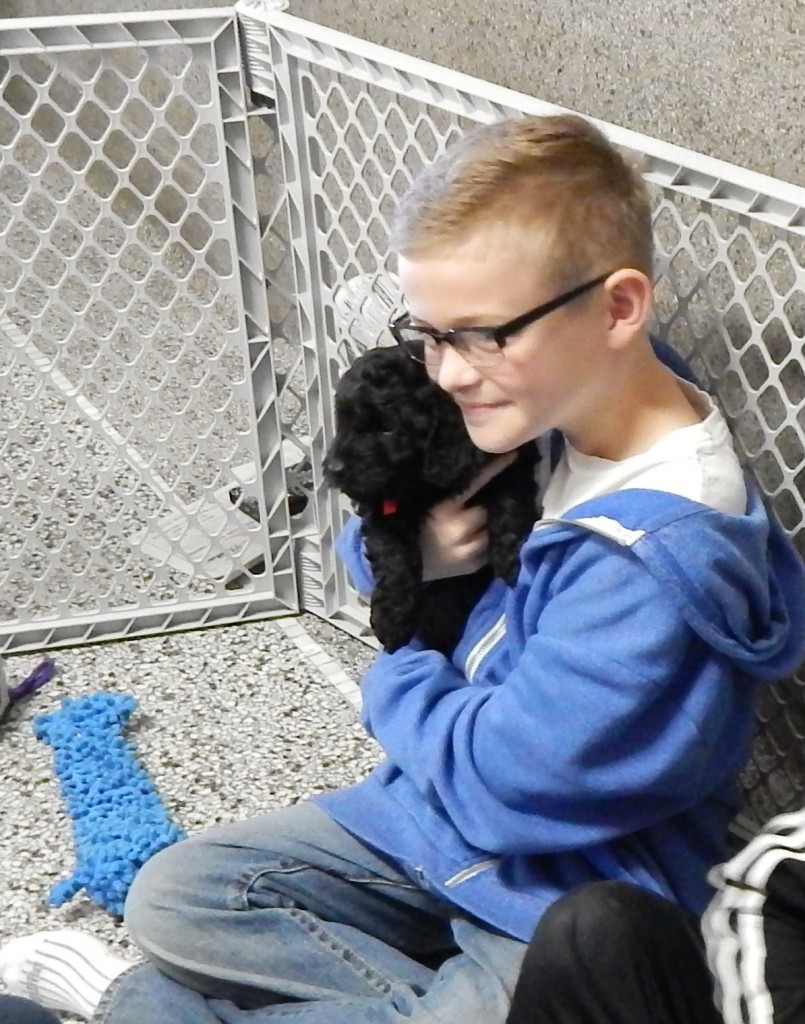 LakeView K-8 Academy