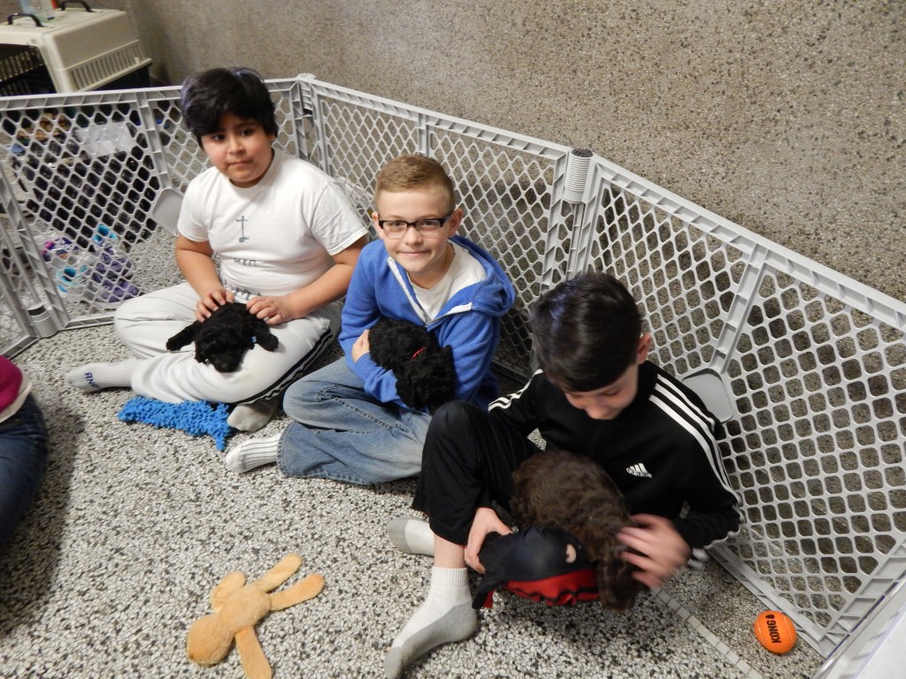 LakeView K-8 Academy