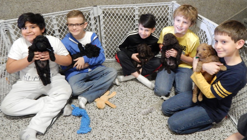 LakeView K-8 Academy