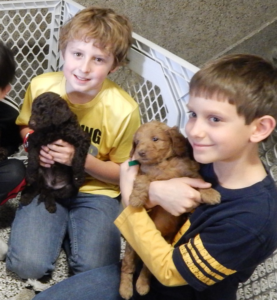 LakeView K-8 Academy