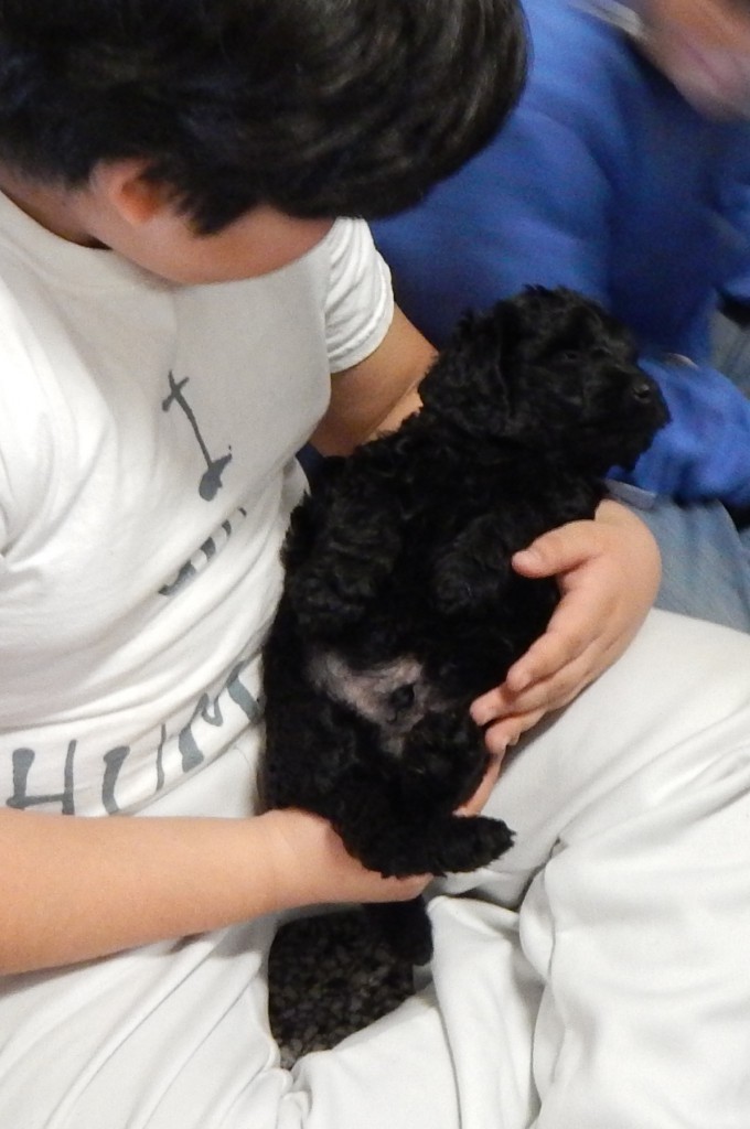 LakeView K-8 Academy