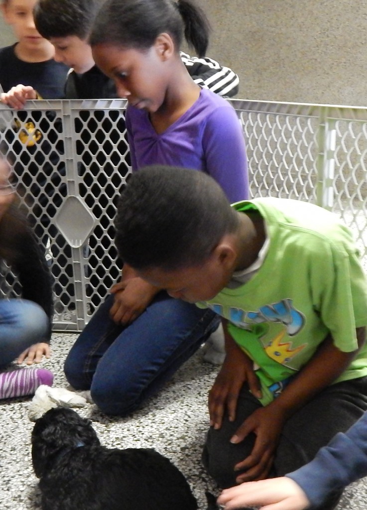 LakeView K-8 Academy